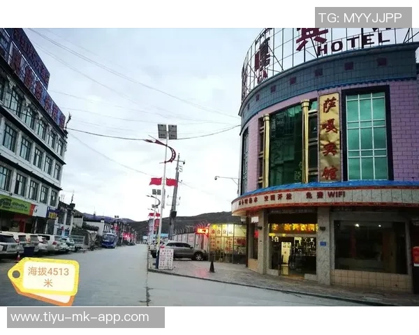 未来之星身价暴涨伊尔迪兹7500万居莱尔6000万乌尊4500万引关注